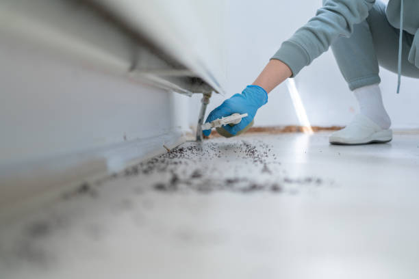 Best Pest Prevention Services  in Hernando Beach, FL